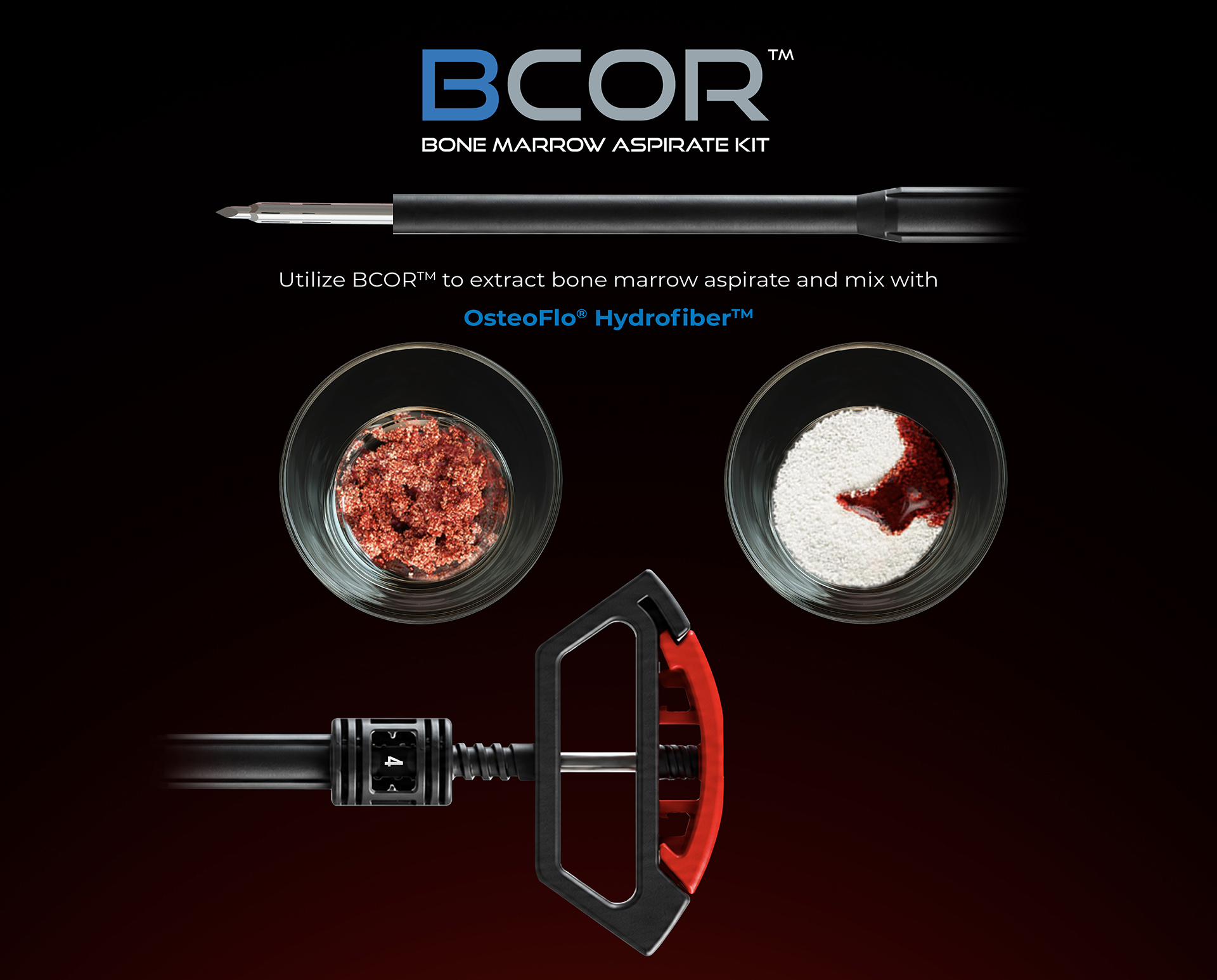 BCOR Web