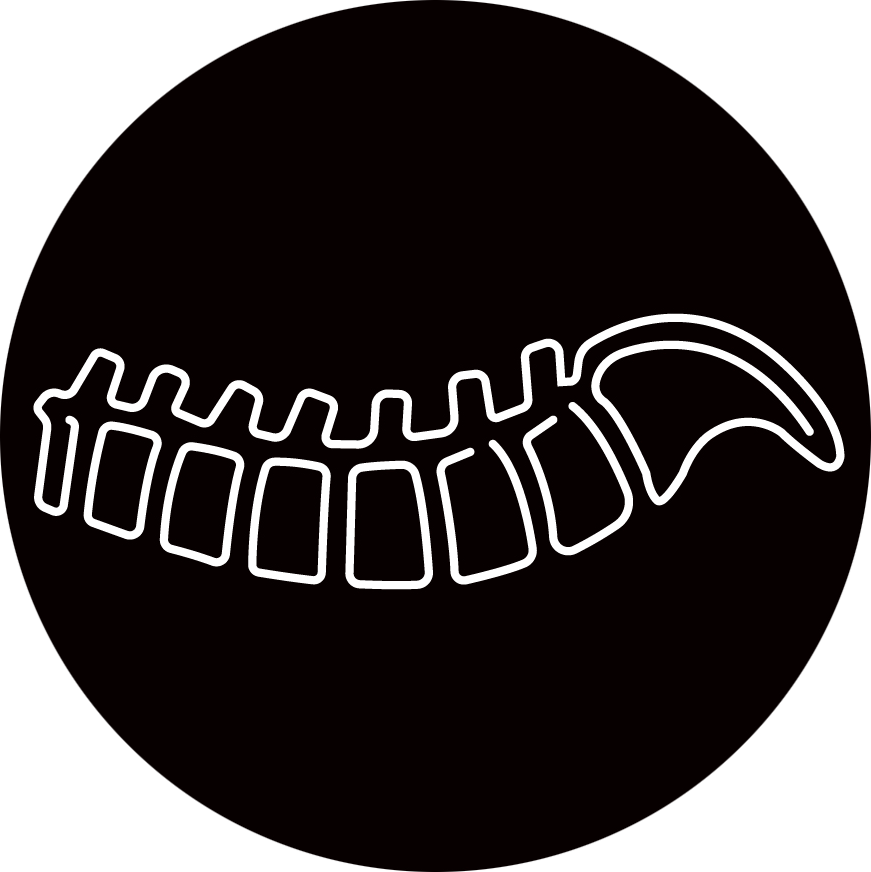Spine